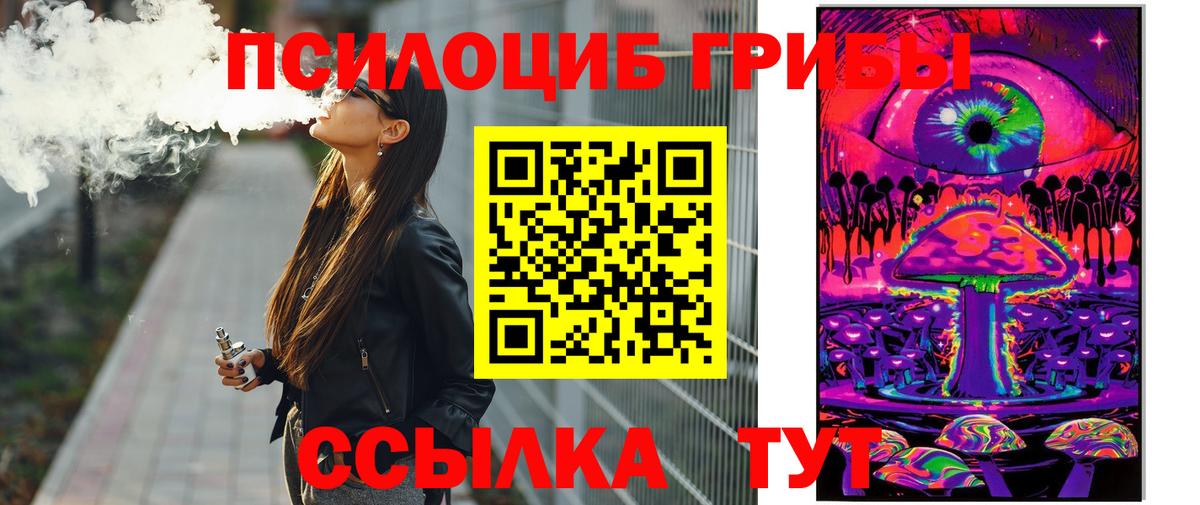 Таганрог  Галлюциногенные грибы Psilocybine cubensis  Вход с VPN 