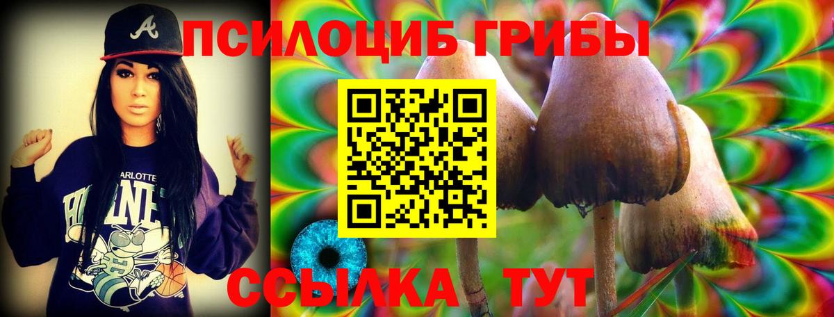 Галлюциногенные грибы мицелий Таганрог